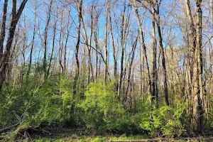 Six Mile Creek Greenway image