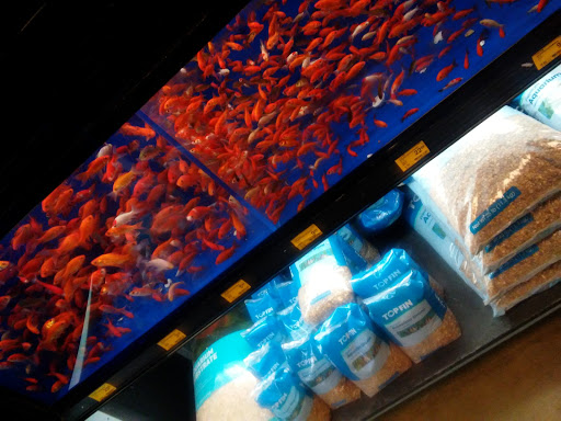 Pet Supply Store «PetSmart», reviews and photos, 4014 S Western Ave, Marion, IN 46953, USA