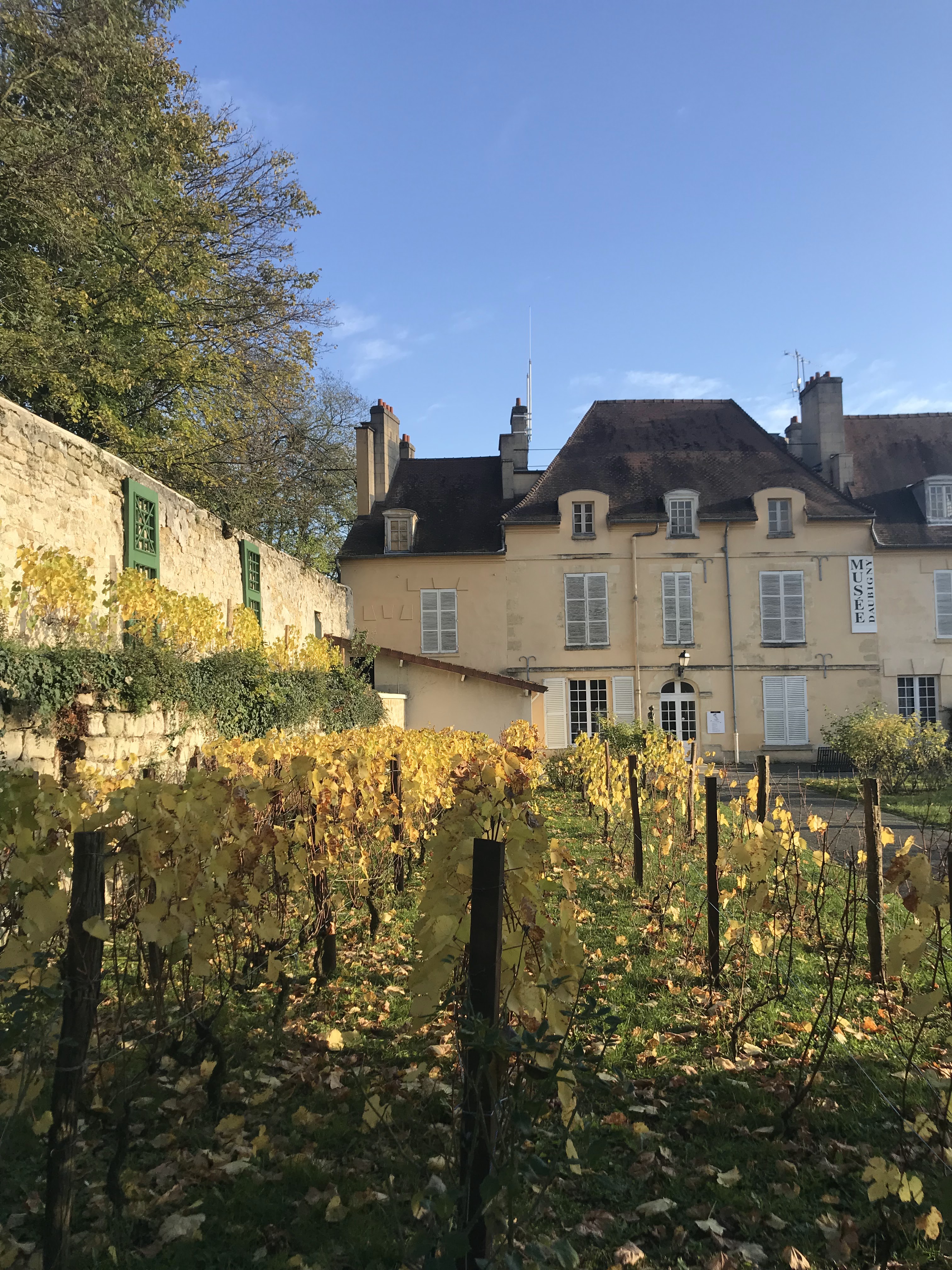 Photo n° 1 de l'avis de Tibor.. fait le 12/11/2019 à 11:08