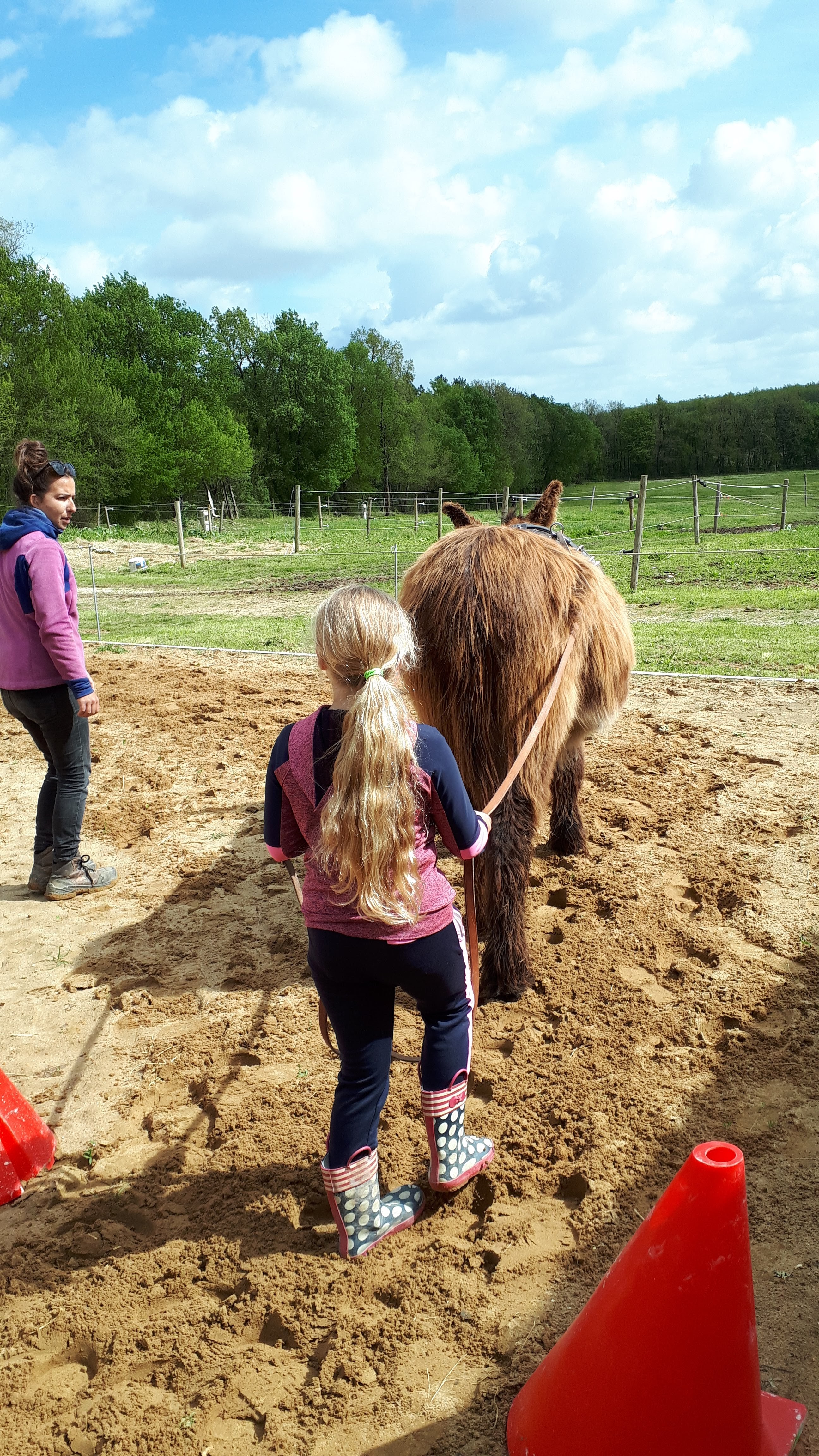 Photo n° 1 de l'avis de Christophe.i fait le 27/04/2019 à 20:45