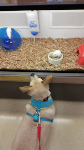 Pet Supply Store «Petco Animal Supplies», reviews and photos, 509 NJ-70, Brick, NJ 08723, USA