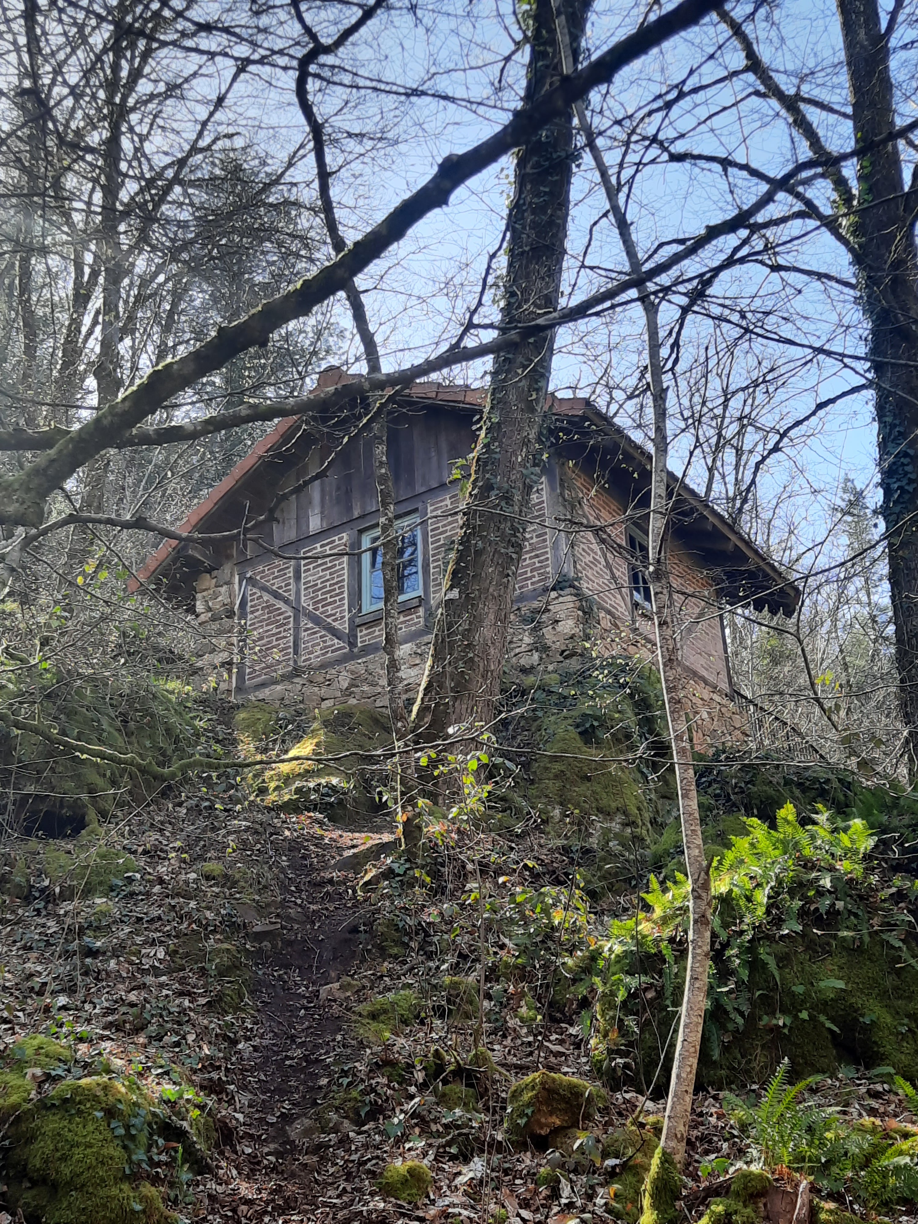 Photo n° 2 de l'avis de Marie.h fait le 28/03/2021 à 18:08