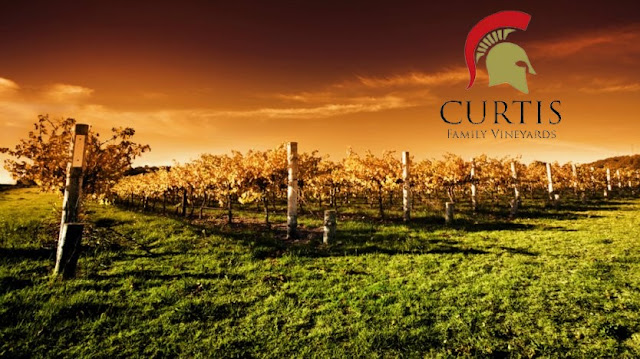 Curtis Family Vineyards
