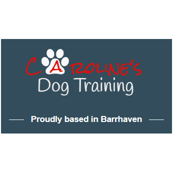 Dog Training Ottawa