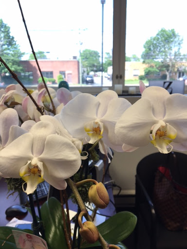 Florist «Flowers By Lili», reviews and photos, 1 Grand Ave, Englewood, NJ 07631, USA