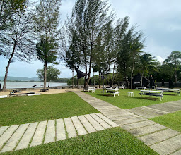 The Mangrove by Blu Monkey photo