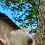 Photo n°20 de l'avis de Heidelbeere.3 fait le 18/06/2021 à 11:33 sur le  Hotel Landhaus zur Ohe GmbH à Schönberg