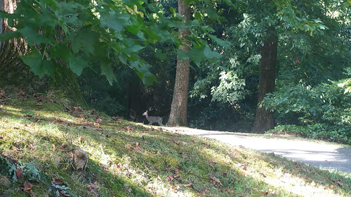 Golf Course «Cross Creek Golf Club», reviews and photos, 1221 Cross Creek Pkwy NW, Atlanta, GA 30327, USA