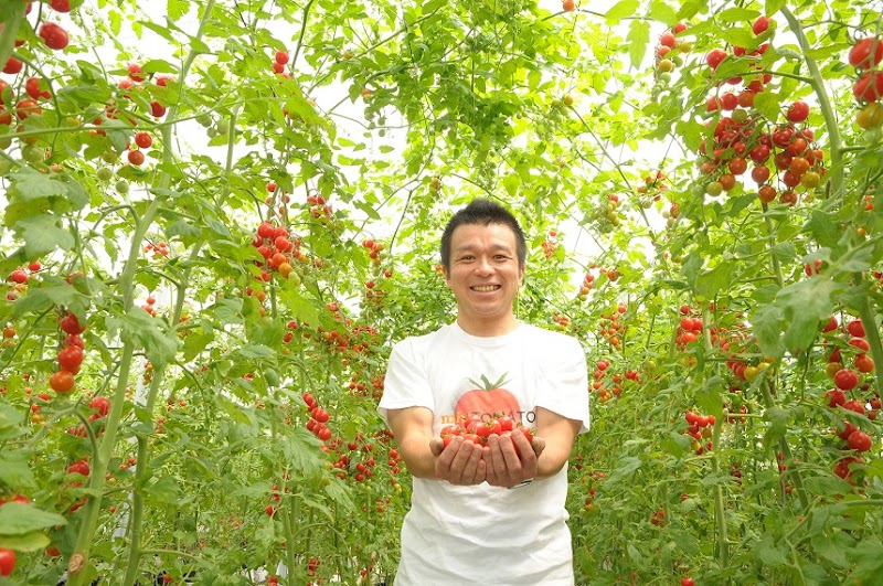 飯田農園トマト自販機