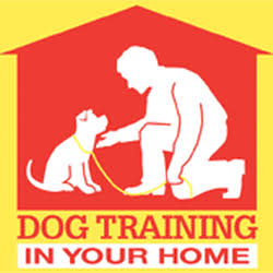 Dog trainer south Delhi new delhi