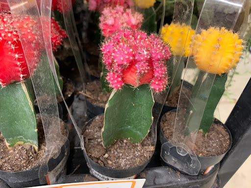 Home Improvement Store «The Home Depot», reviews and photos, 1750 Jonesboro Rd, McDonough, GA 30253, USA