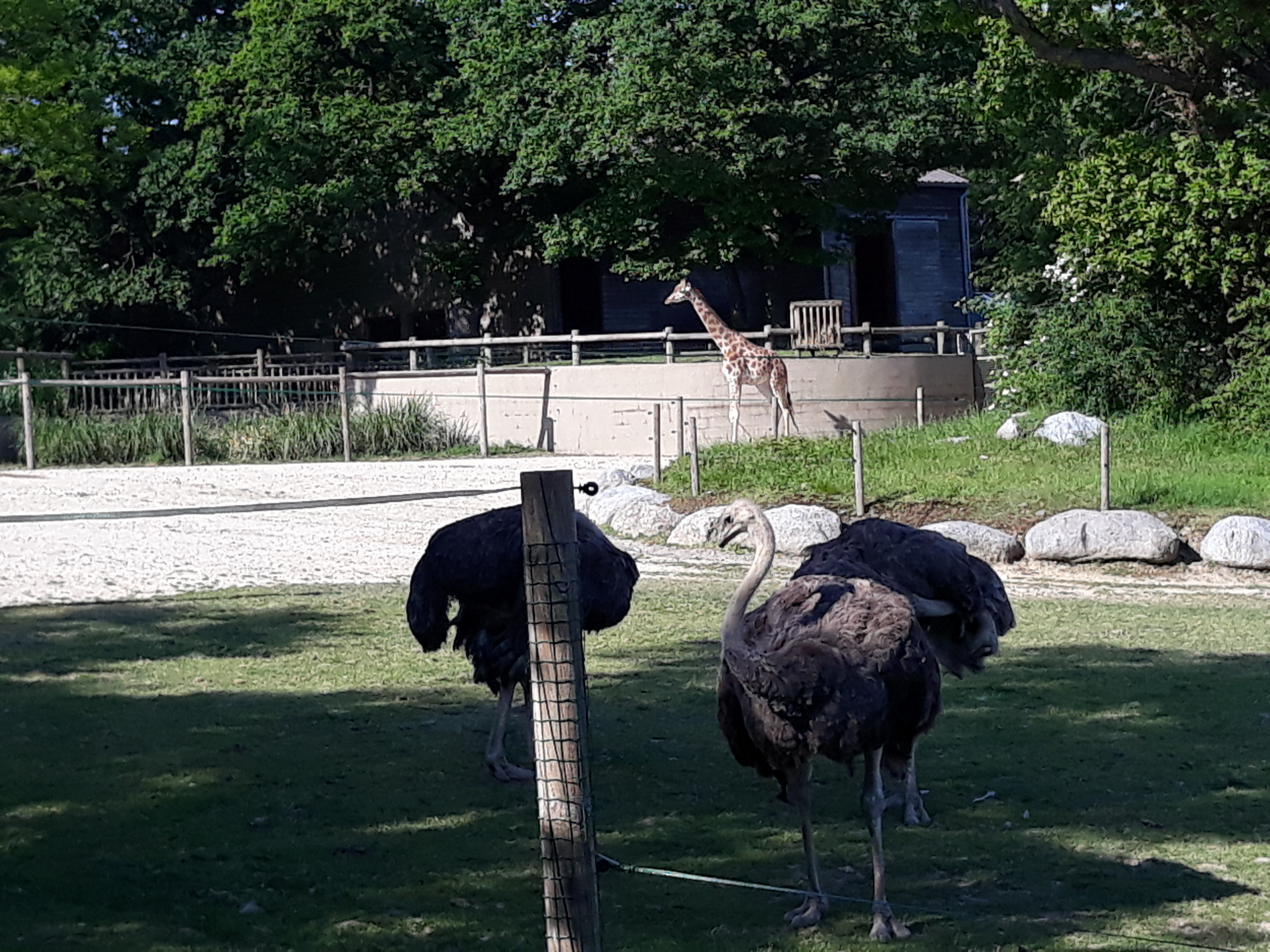 Photo n° 2 de l'avis de Aline.o fait le 23/05/2018 à 09:28