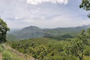 Valparai ghat image