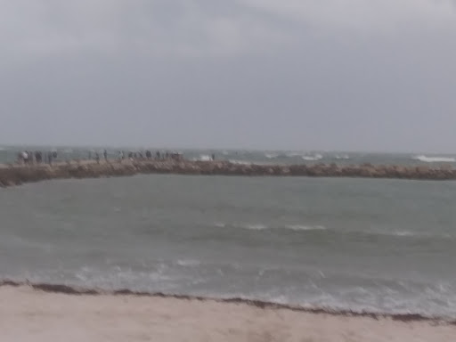 Department Store «Walmart Supercenter», reviews and photos, 5100 Okeechobee Rd, Fort Pierce, FL 34947, USA