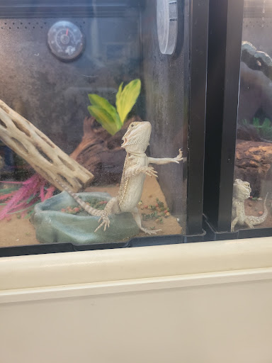 Pet Supply Store «PetSmart», reviews and photos, 1220 N Eagle Rd, Meridian, ID 83642, USA