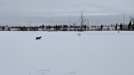 Dog Park «Beck Lake Off-Leash Dog Area», reviews and photos, 9700 Gloria Ct, Glenview, IL 60025, USA