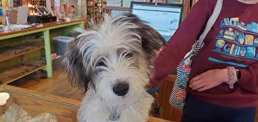 Variety Store «Zandbroz Variety», reviews and photos, 420 Broadway N, Fargo, ND 58102, USA