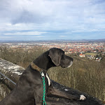 Photo n°1 de l'avis de bluesky.l fait le 22/02/2020 à 12:07 sur le restaurants Biergarten & Restaurant Altenburg à Bamberg