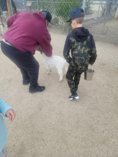 Zoo «Sierra Safari Zoo», reviews and photos, 10200 N Virginia St, Reno, NV 89506, USA