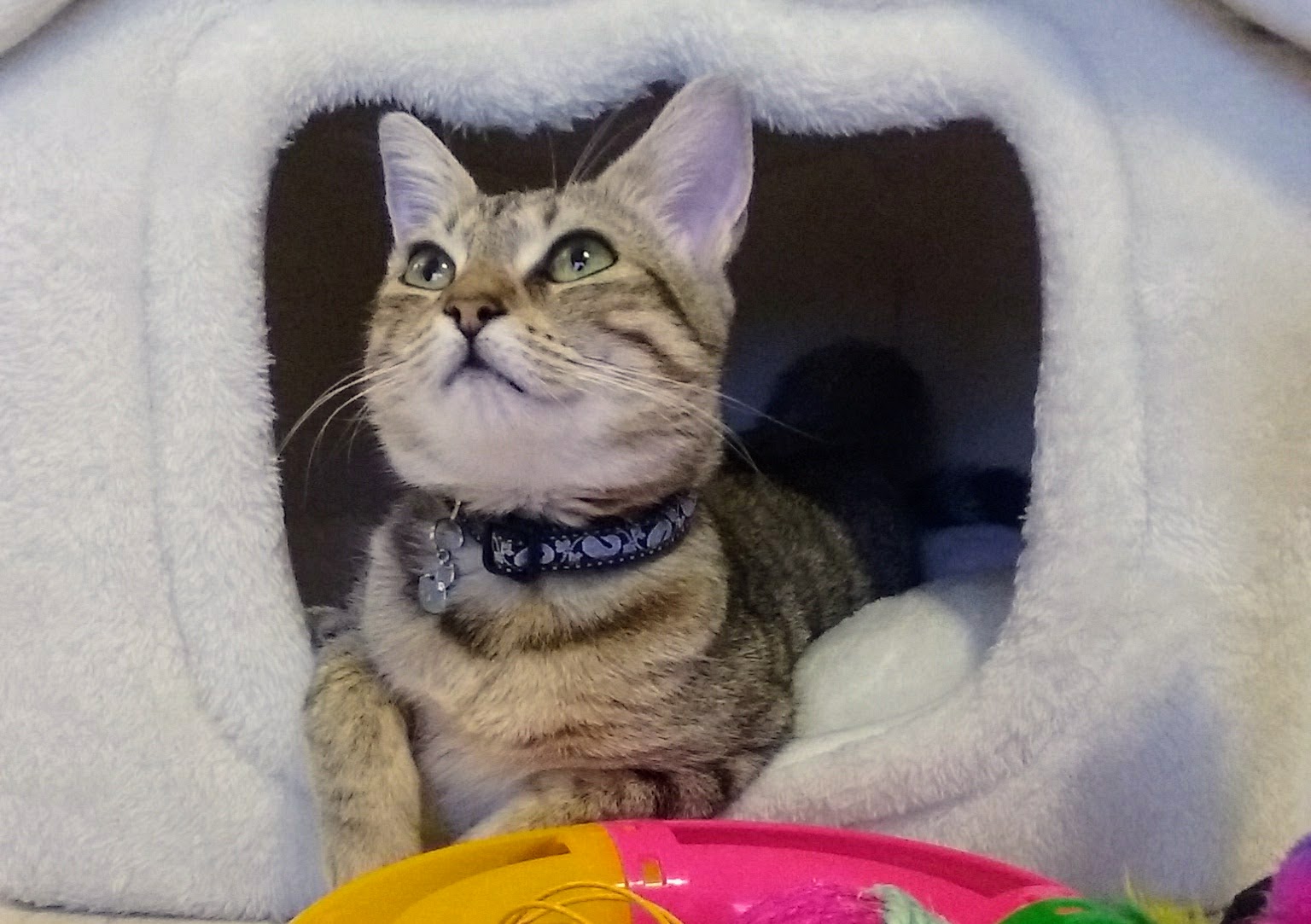 Photo n° 1 de l'avis de ABBY.A fait le 09/02/2017 à 14:44