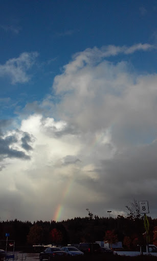 Discount Store «Walmart», reviews and photos, 6797 WA-303, Bremerton, WA 98311, USA