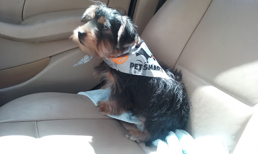 Pet Supply Store «PetSmart», reviews and photos, 11945 Central Ave, Chino, CA 91710, USA
