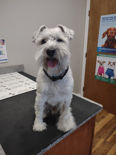 Lake Marion Animal Hospital image