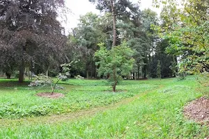 Arboretum (Baumpark) Plauen image