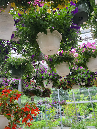 Garden Center «Copia Home and Garden», reviews and photos, 475 Smith Ridge Rd, South Salem, NY 10590, USA
