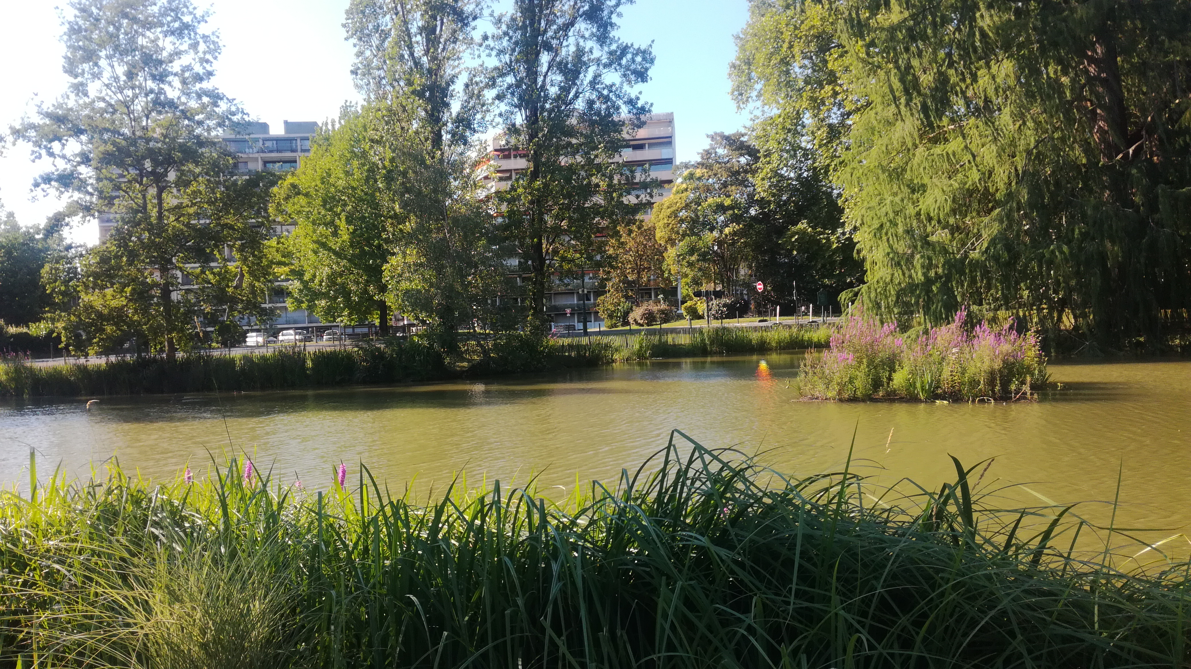 Photo n° 2 de l'avis de Benoît.i fait le 15/07/2020 à 17:44