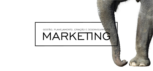 Elefante - Marketing Digital e Branding em Curitiba - Curitiba