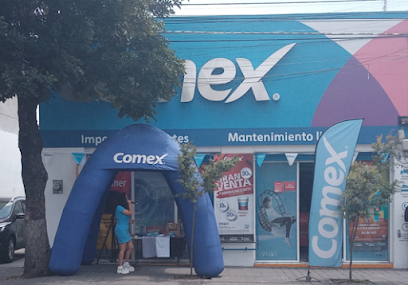 Tienda Comex Morelos