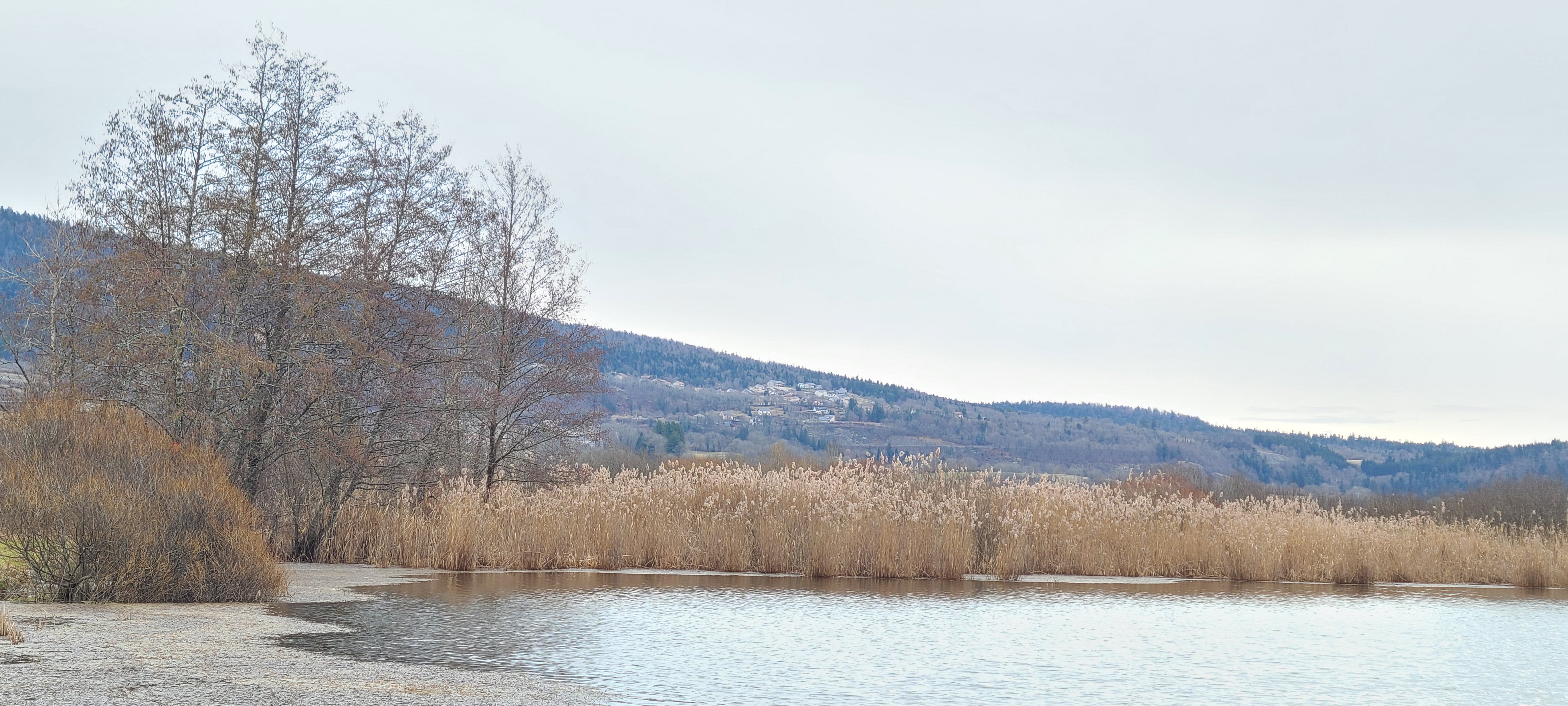 Photo n° 4 de l'avis de Guy-René.e fait le 17/02/2024 à 03:28