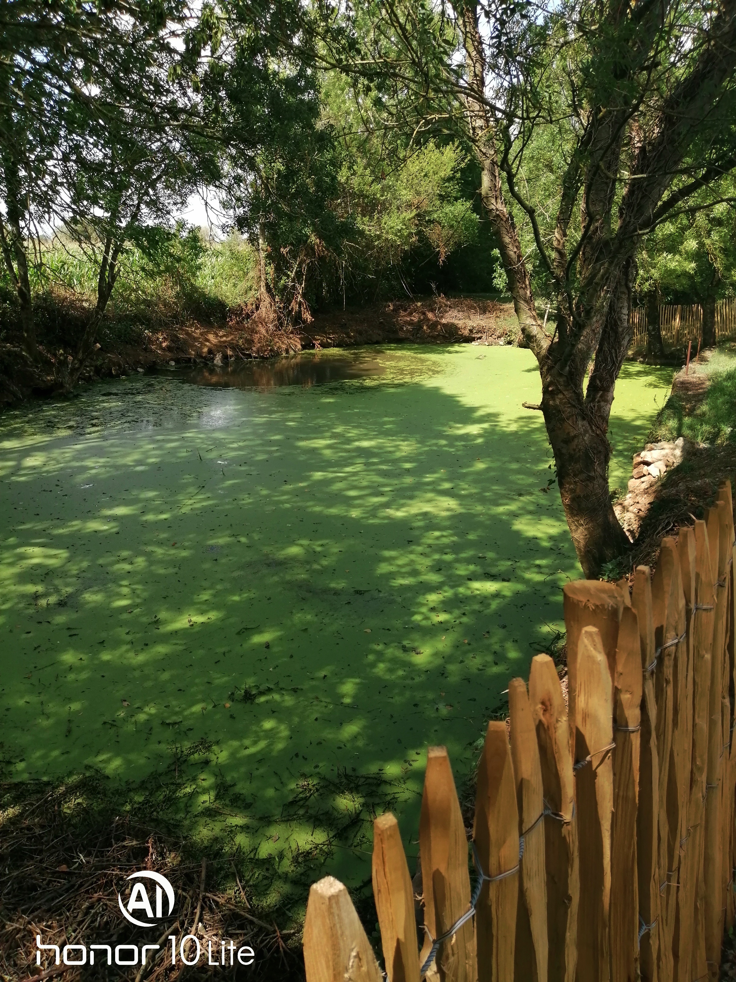 Photo n° 6 de l'avis de Sérgio.. fait le 10/08/2019 à 14:58