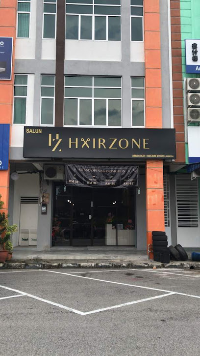 hairzone Styling