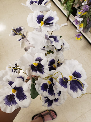 Fabric Store «Jo-Ann Fabrics and Crafts», reviews and photos, 4241 US Hwy 98 N, Lakeland, FL 33809, USA