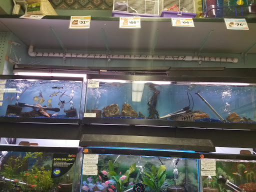Pet Store «Petland Discounts - Pitkin Avenue», reviews and photos, 1689 Pitkin Ave, Brooklyn, NY 11212, USA