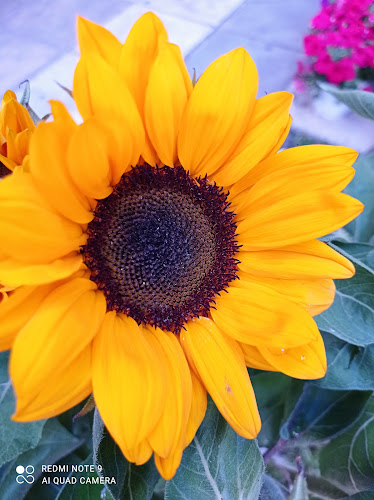 Κερκύρας 46, Αθήνα 113 62