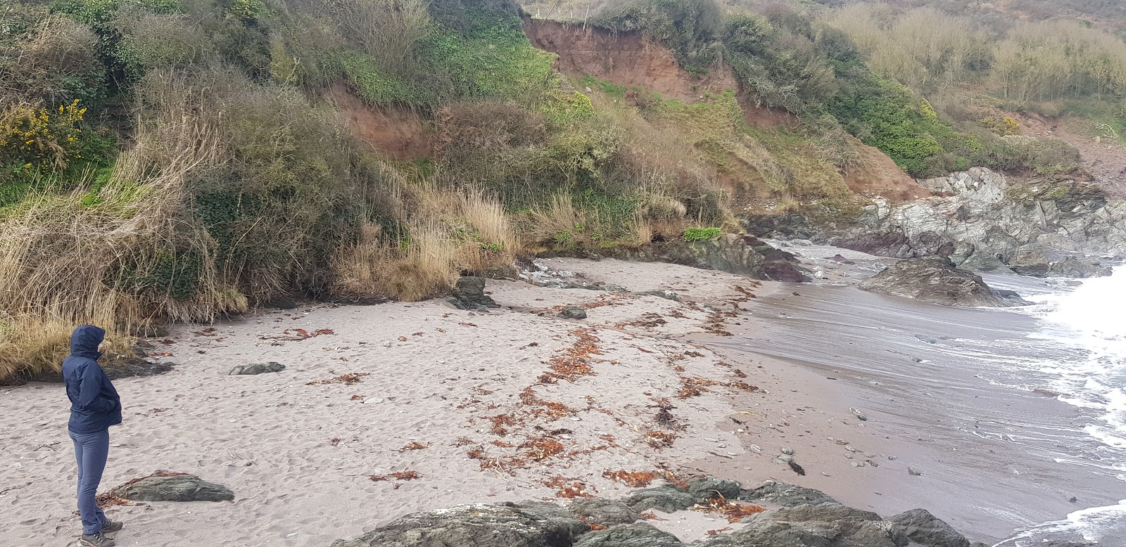 Wadham Rocks beach的照片 带有碧绿色纯水表面