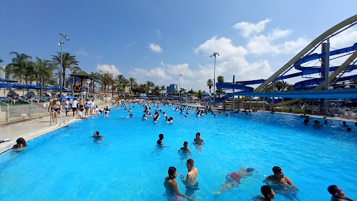 Private swimming pools in Tel Aviv