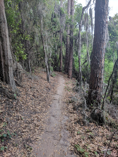 Recreation Center «Balm Park Recreation Center», reviews and photos, 14747 Balm Wimauma Rd, Wimauma, FL 33598, USA