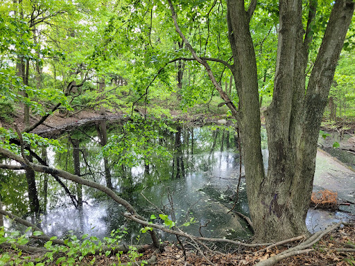 Golf Course «La Tourette Golf Course», reviews and photos, 1001 Richmond Hill Rd, Staten Island, NY 10306, USA