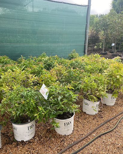 Landscaping Supply Store «Kirkwood Gardens», reviews and photos, 2701 Barrett Station Rd, Ballwin, MO 63021, USA