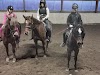 Sydvestfyns Rideklub Logo, Glamsbjerg, Denmark, Horse Riding Field