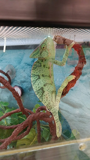 Pet Supply Store «Petco Animal Supplies», reviews and photos, 13701 Lakeside Cir, Sterling Heights, MI 48313, USA