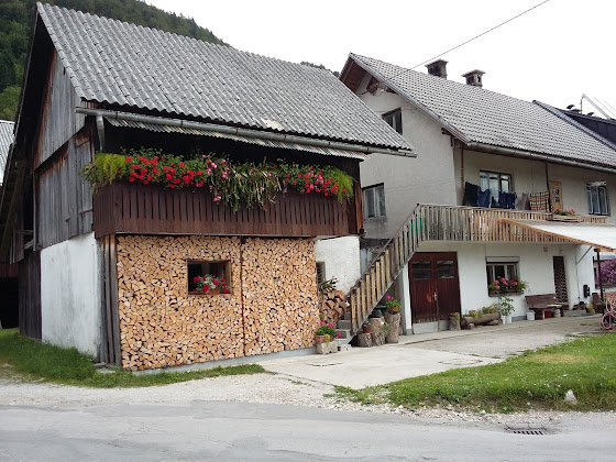 Extérieur Holiday apartment Apartmaji Brina 4265 Bohinjsko jezero