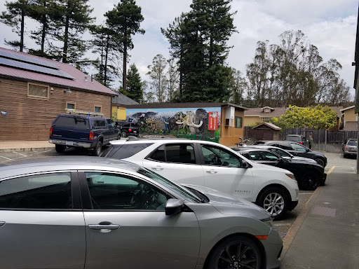 Laundromat «Emerald City Laundry Co», reviews and photos, 1210 G St, Arcata, CA 95521, USA