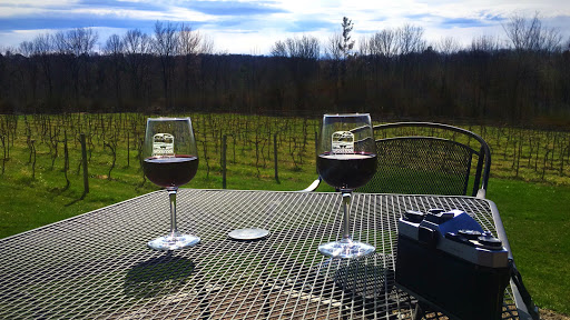 Vineyard «Shelburne Vineyard», reviews and photos, 6308 Shelburne Rd, Shelburne, VT 05482, USA