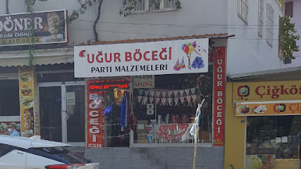 UĞUR BÖCEGİ DOĞUM GÜNÜ PARTİ MALZEMELERİ