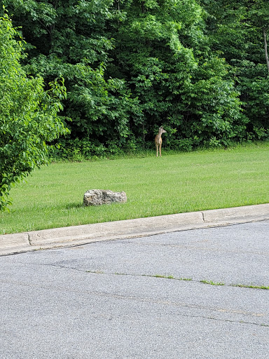 Community Center «Flat Rock Community Center», reviews and photos, 1 Maguire St, Flat Rock, MI 48134, USA
